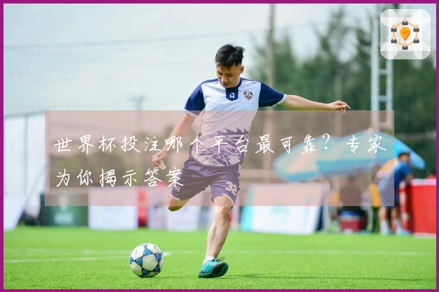 世界杯投注哪个平台最可靠？专家为你揭示答案