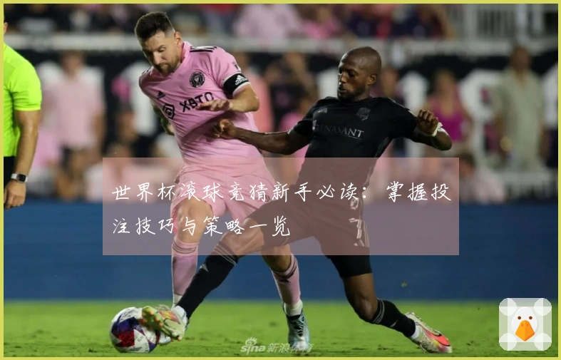世界杯滚球竞猜新手必读：掌握投注技巧与策略一览